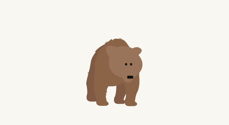 Animals - Illustrations - Bear