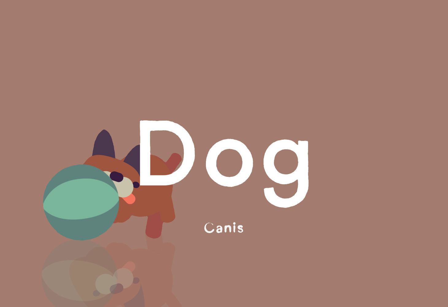 Animals - Illustration - Dog