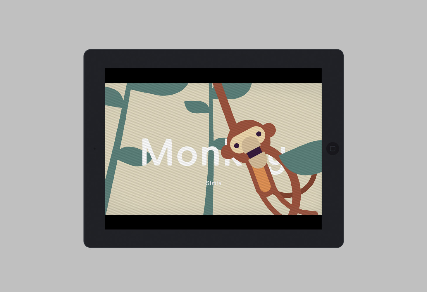 Animals - A short film - Monkey