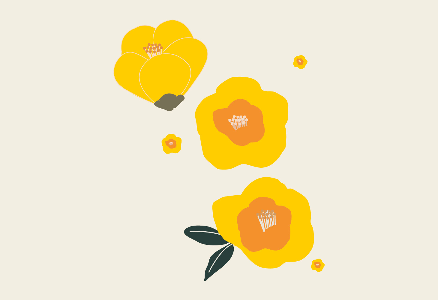 Flowers - Illustration