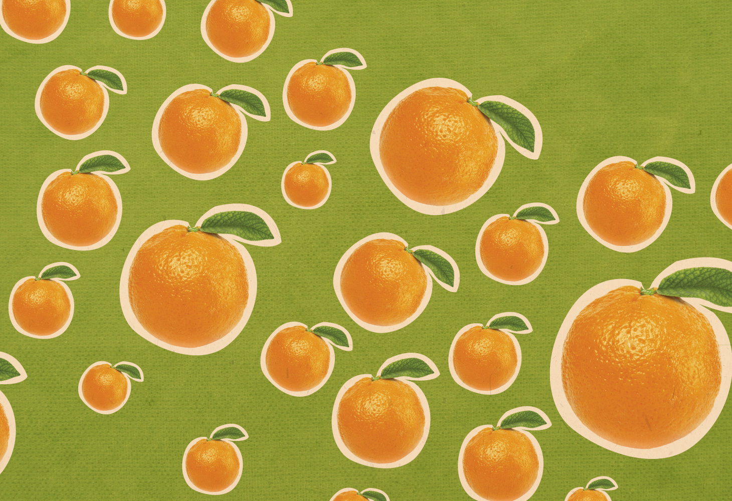 Fruit Salad - Illustrations - Oranges