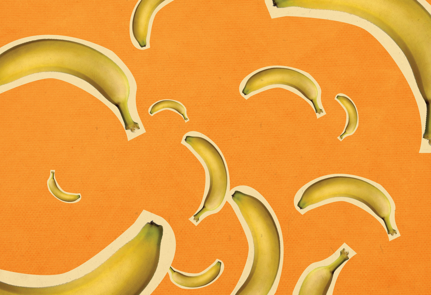 Fruit Salad - Illustrations - Bananas