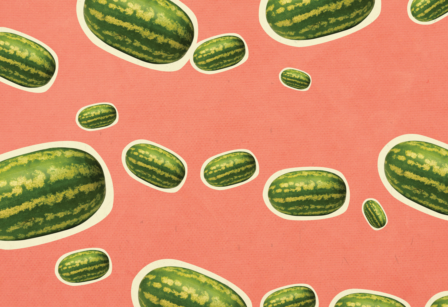 Fruit Salad - Illustrations - Watermelons